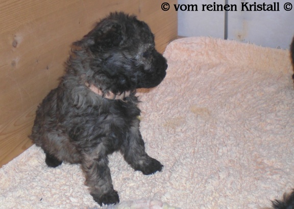  4 Wochen + 4 Tage