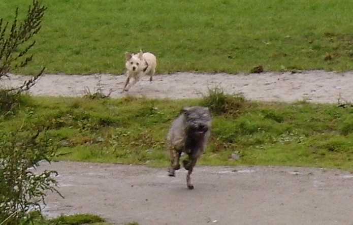 ... eine kleine Runde durch den Schlamm ...