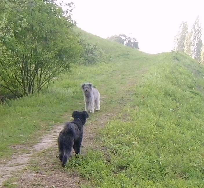 Loriot und ich am Berg